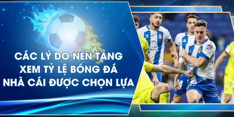 Các lý do nền tảng xem tỷ lệ bóng đá nhà cái được chọn lựa